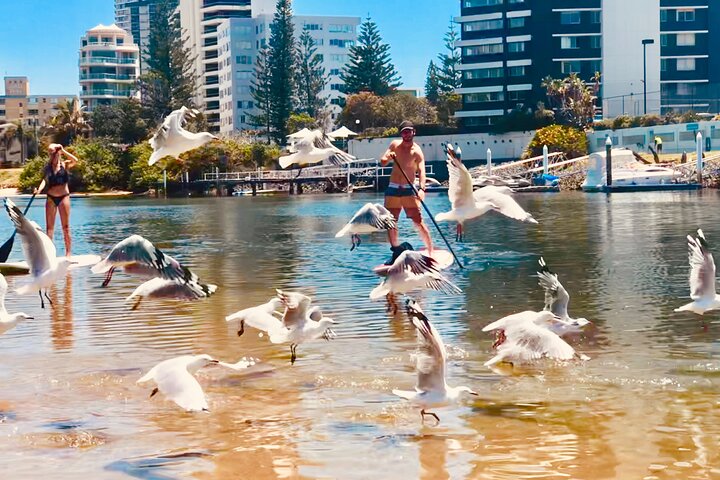 Twilight SUP Tour in Surfers Paradise