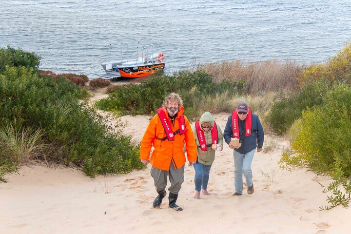 Seabirds and Seals: Coorong Boating Tour