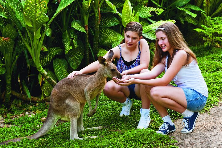 Kuranda Wildlife Experience Deluxe Multi Attraction Pass