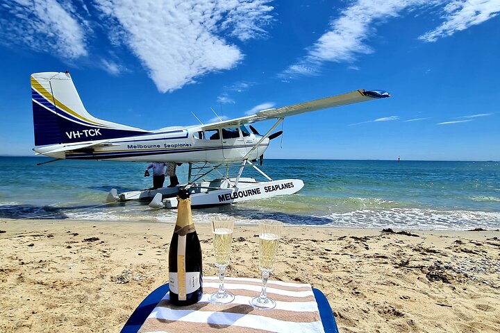 Private Seaplane Winery Adventure from Bellarine Peninsula