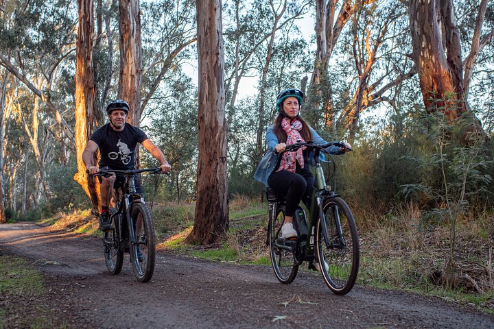 Bike to Winery Tour