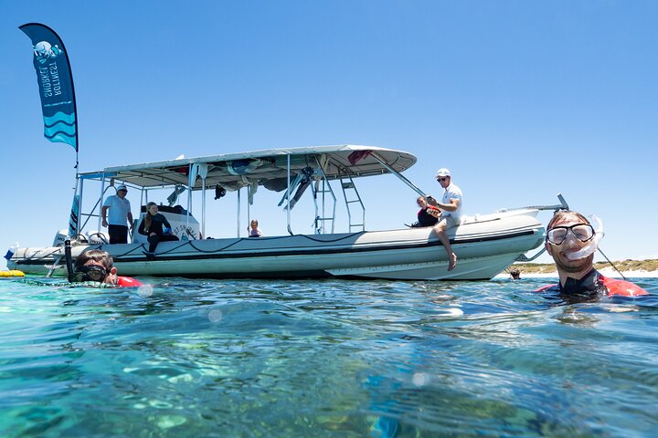 Private Snorkel Experience in Rottnest