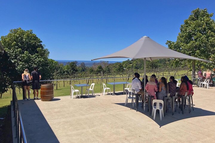 Montville and Maleny Scenic Full-Day Private Tour with Wine Tasting