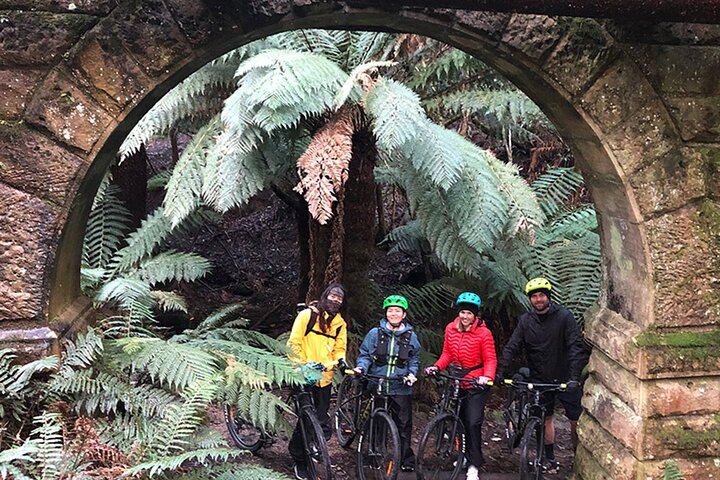 Easy Mountain Bike Tour on Mt. Wellington, Summit & Rainforest Adventure Ride