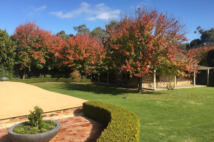 Barossa Valley bus tour