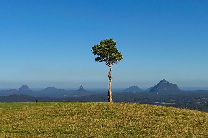 Montville and Maleny Scenic Full-Day Private Tour with Wine Tasting