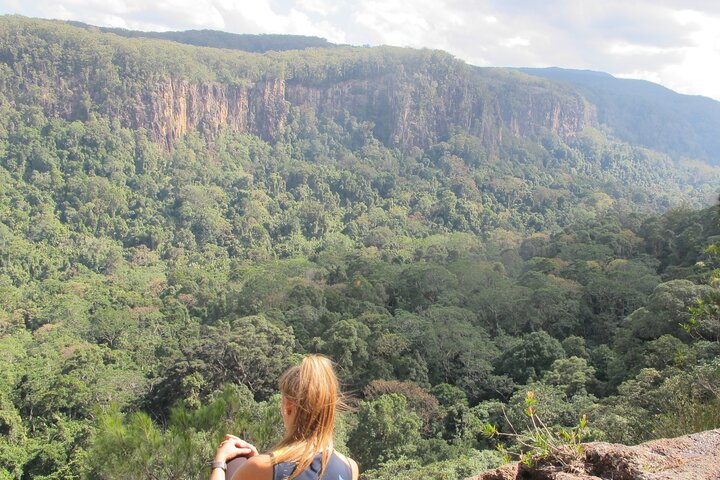 Byron Bay Hinterland: Full Day Private Rain Forest Hike