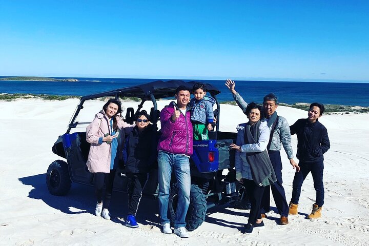 6 seater Buggy 1 Hour Tour + Hour free Sandboard hire for each person