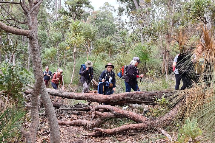 Dwellingup Trains, Trails & Woodfired Delights Full Day Tour