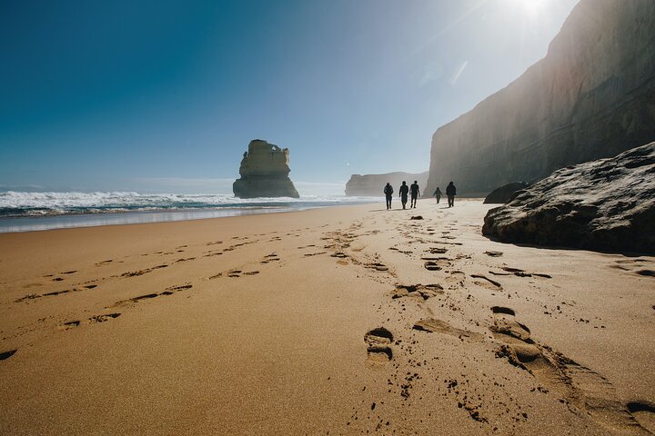 Private Great Ocean Road Day Tour With Early Departure & Late Return (14 Hours)