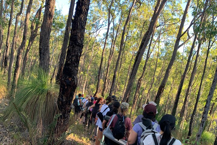 Full Moon Yoga Hiking Experience Mundaring