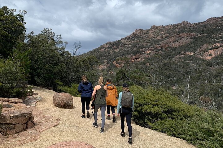 Wineglass Bay Explorer Active Day Trip from Launceston