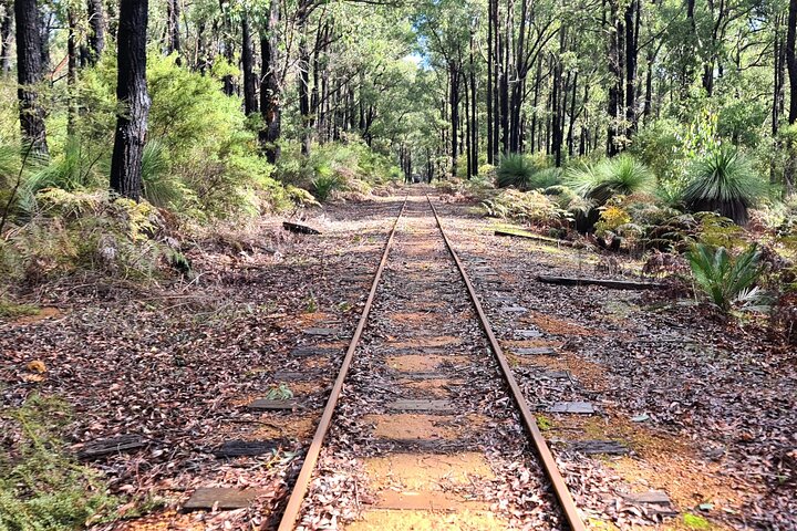 Dwellingup Trains, Trails & Woodfired Delights Full Day Tour