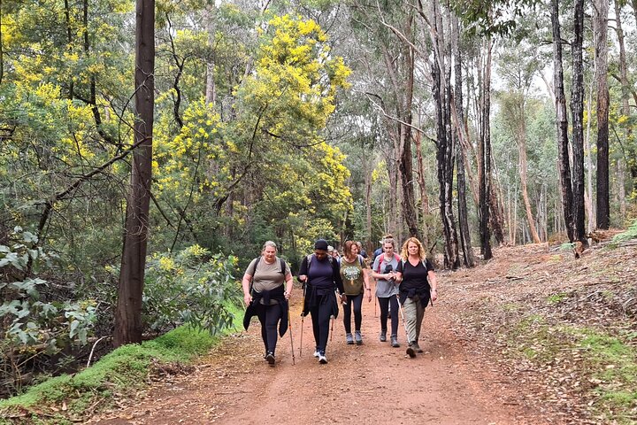 Dwellingup Trains, Trails & Woodfired Delights Full Day Tour