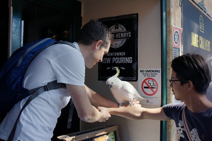 Hidden Sydney Walking Tour - Stories, Food & Coffee