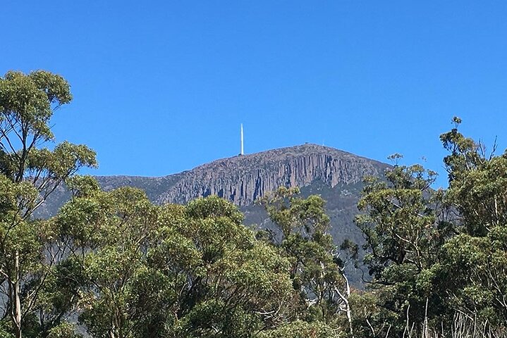 Easy Mountain Bike Ride on Hobart's Mt. Wellington + Summit Stop-off