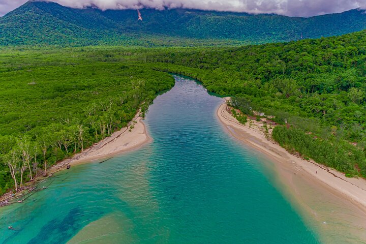 Half-Day Daintree Rainforest Tour