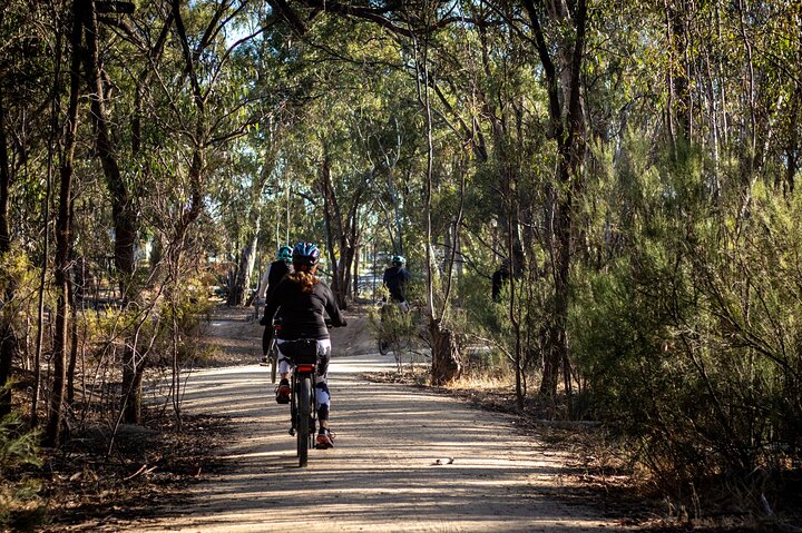 E-bike Hire Echuca Moama - Full Day