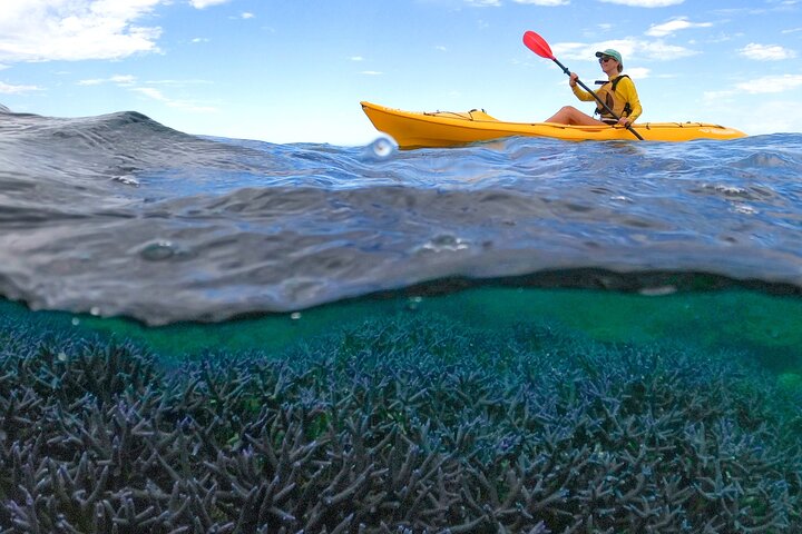 Coral By Kayak - Ningaloo Reef Half Day Kayak & Snorkel Tour