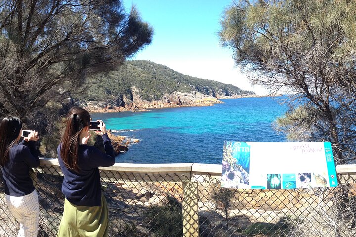 Wineglass Bay Explorer Active Day Trip from Launceston