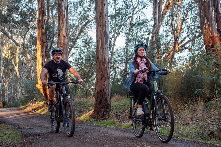 E-Mountain Bike Hire Echuca Moama – Full Day