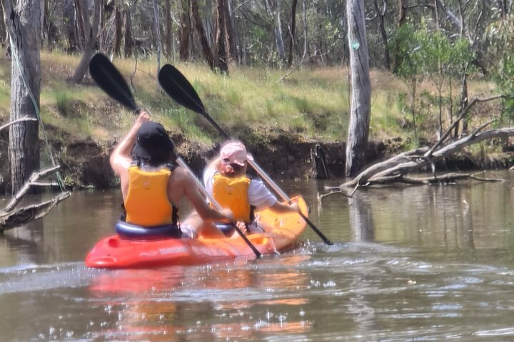 Kayak self-guided tour on the Campaspe River Elmore, 30 minutes from Bendigo