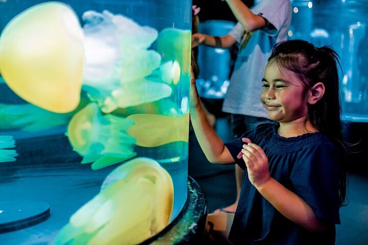 Skip The Line for SEA LIFE with Self-Guided Tours in Sydney