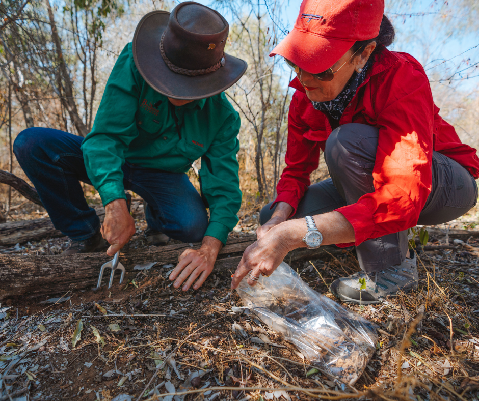 Eco-Discovery Adventure