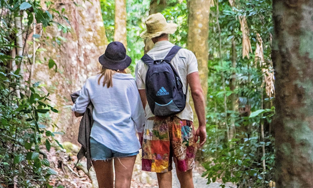 Chasing Waterfalls in the Whitsundays Full Day and Optional ZiplineTour