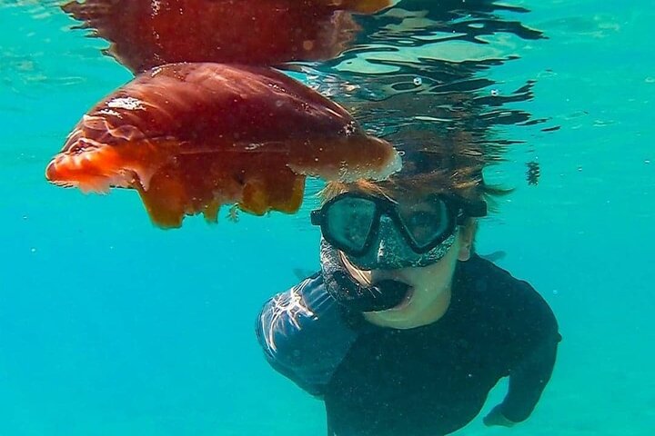 Glass Bottom Ningaloo Reef Boat Tour from Exmouth