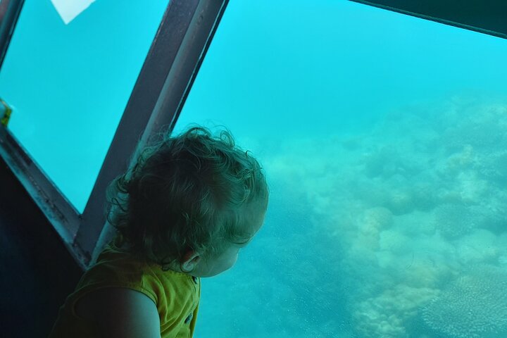 Glass Bottom Ningaloo Reef Boat Tour from Exmouth