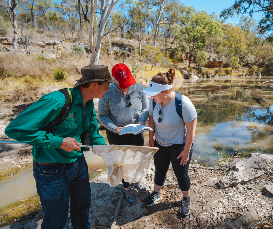 Eco-Discovery Adventure