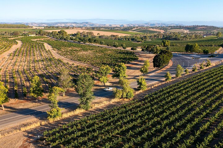 Ultimate Barossa Adventure Day Tour For 2 - Combined Mustang Convertible-Trike