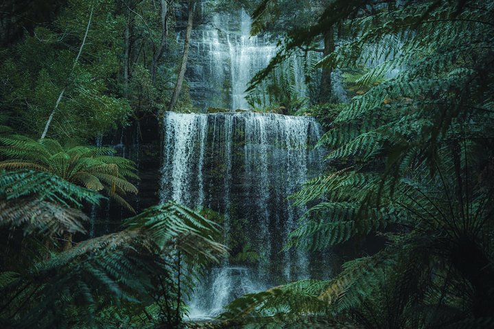 Peaks, Falls & Furry Locals: Mt. Field & the Derwent