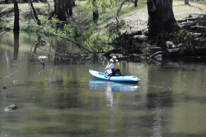 Kayak self-guided tour on the Campaspe River Elmore, 30 minutes from Bendigo