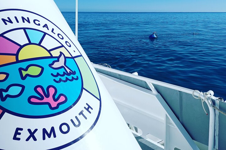 Glass Bottom Ningaloo Reef Boat Tour from Exmouth