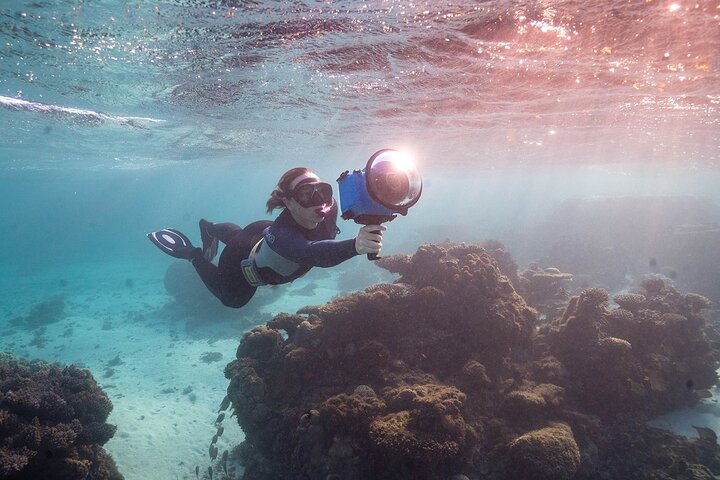 Glass Bottom Ningaloo Reef Boat Tour from Exmouth