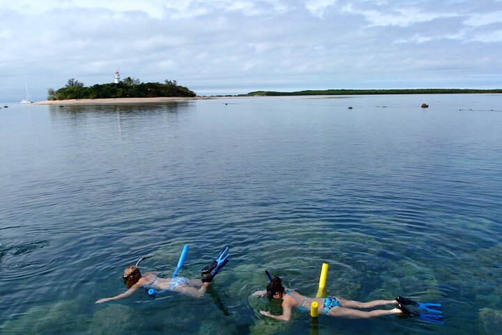 Option A: 2 1/4 hour Low Isles Reef Snorkelling Tour