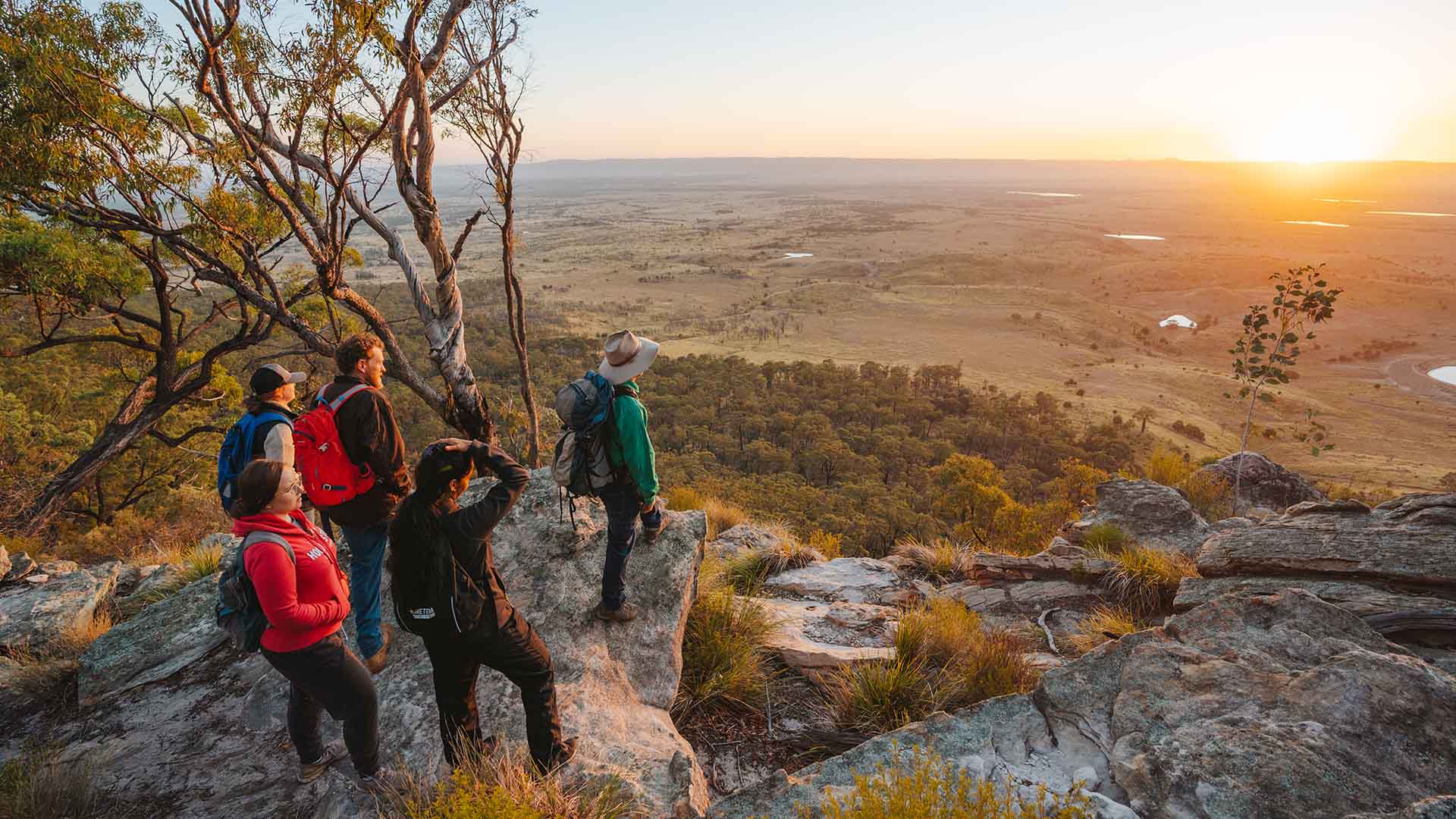 Lost World Carnarvons (Wallaroo)