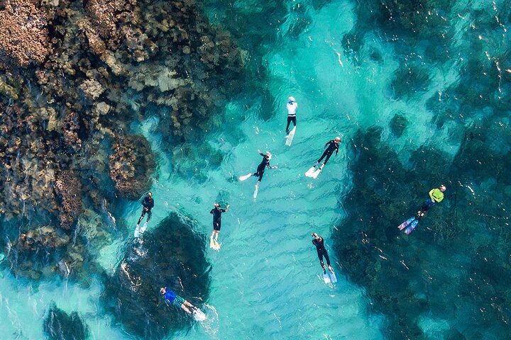 Glass Bottom Ningaloo Reef Boat Tour from Exmouth