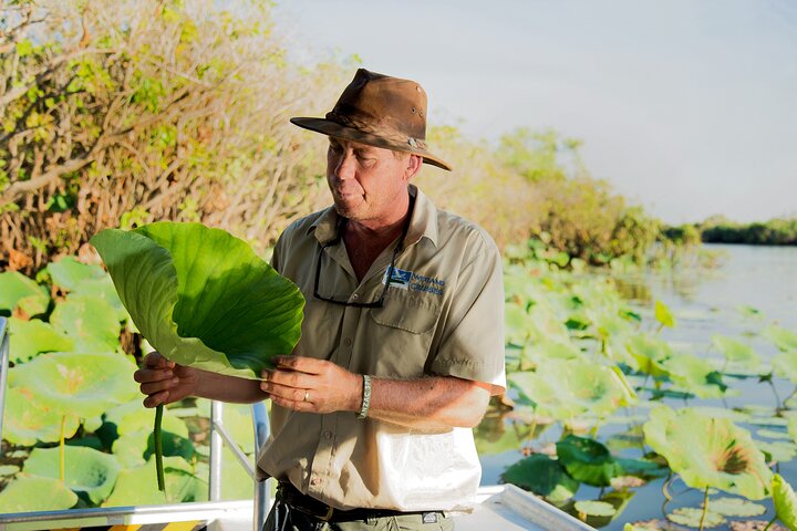 4 Day Kakadu 4WD Adventure Tour from Darwin with Billabong Wetlands Cruise