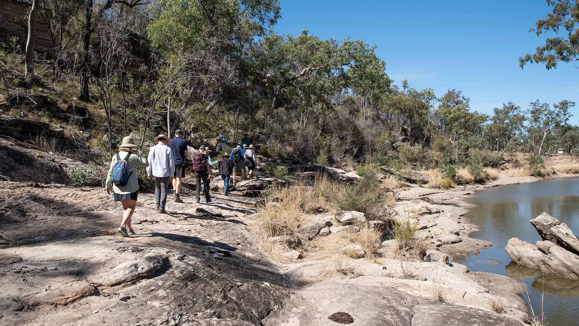 Lost World Carnarvons (Wallaroo)