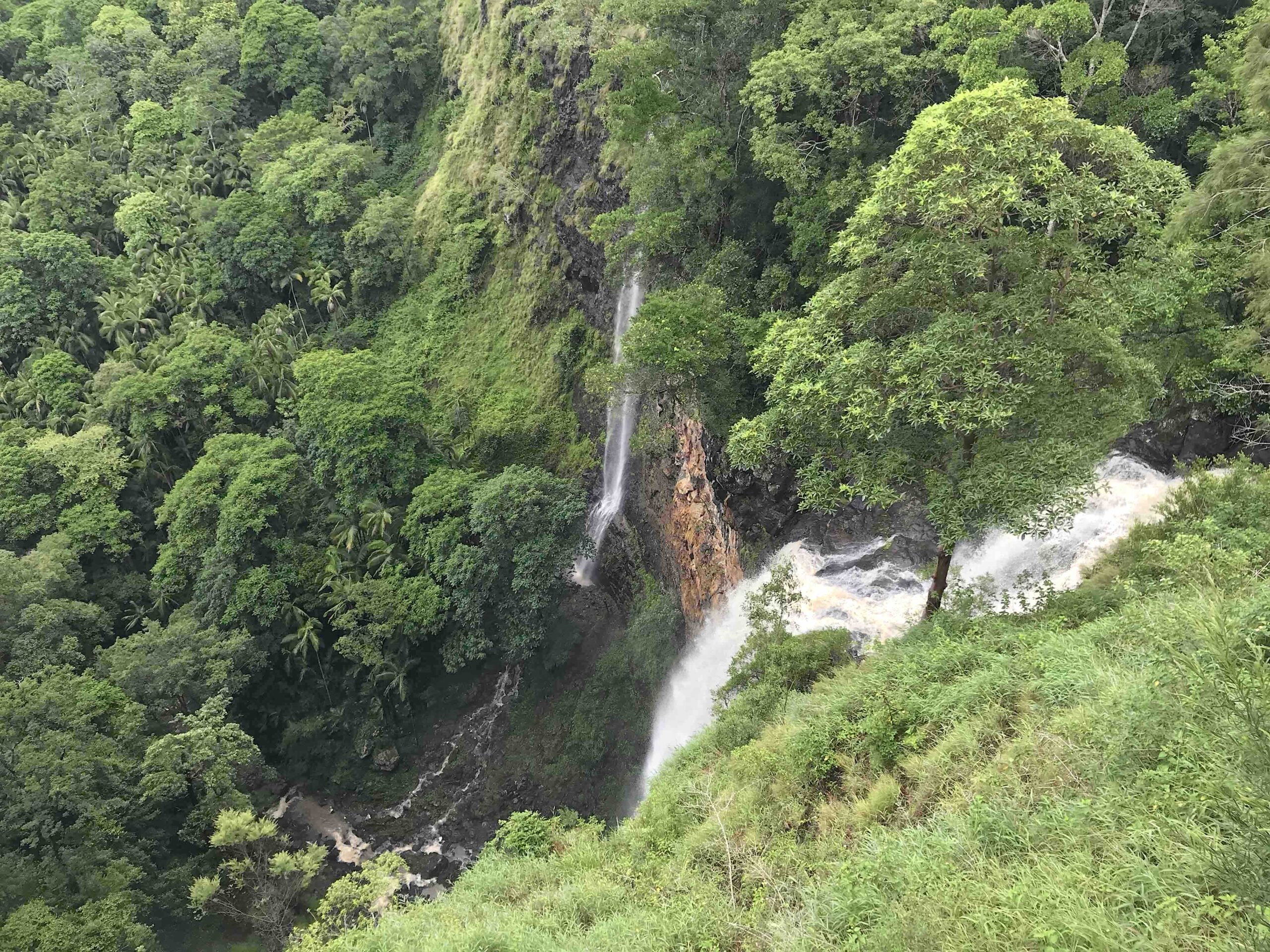 Maleny and Montville Private Tour, Australia Activities in Australia