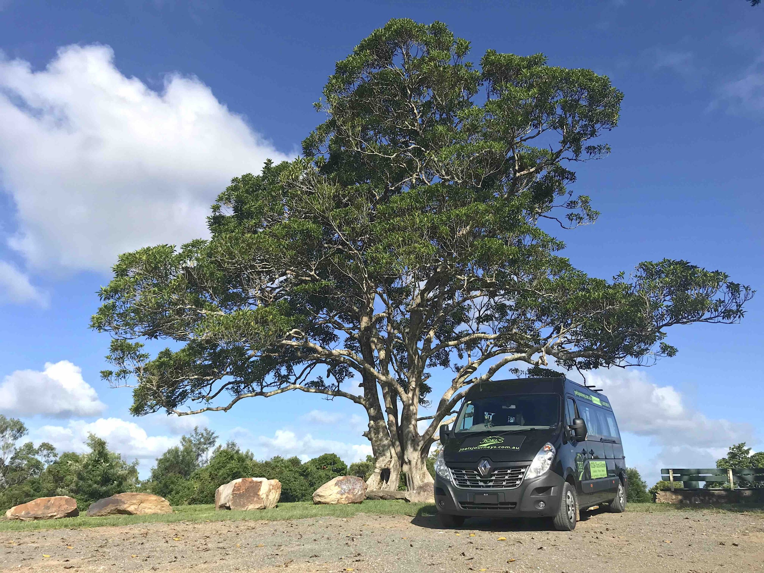 Noosa Hinterland Tour from Noosa with Gourmet Lunch and Wine Tasting - Luxury Private Tour