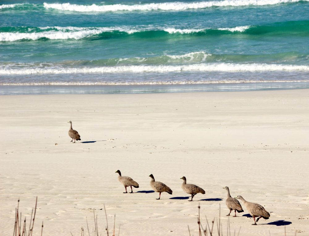 Eyre Peninsula, South Australia – From the outback to the ocean