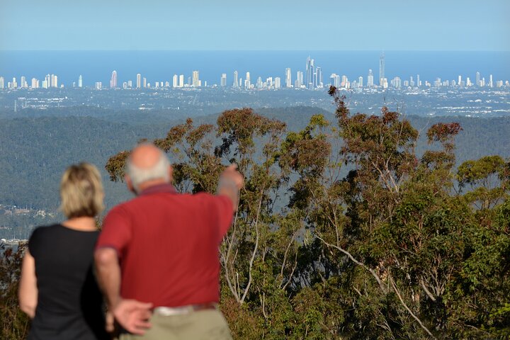 Kangaroos and Mountain Views Day Tour from Gold Coast