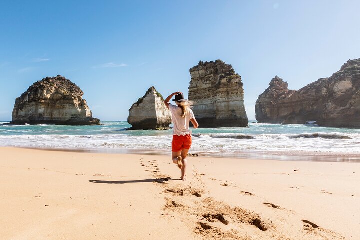 Private One Day Great Ocean Road Tour (14 Hour)