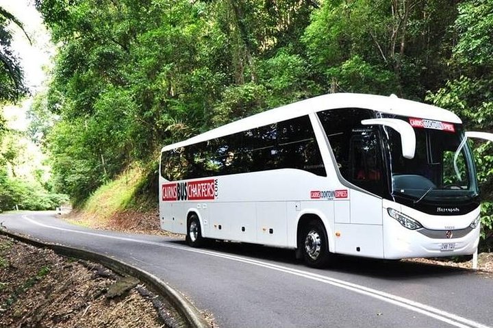 Port Douglas Departure Transfer - Port Douglas to Airport