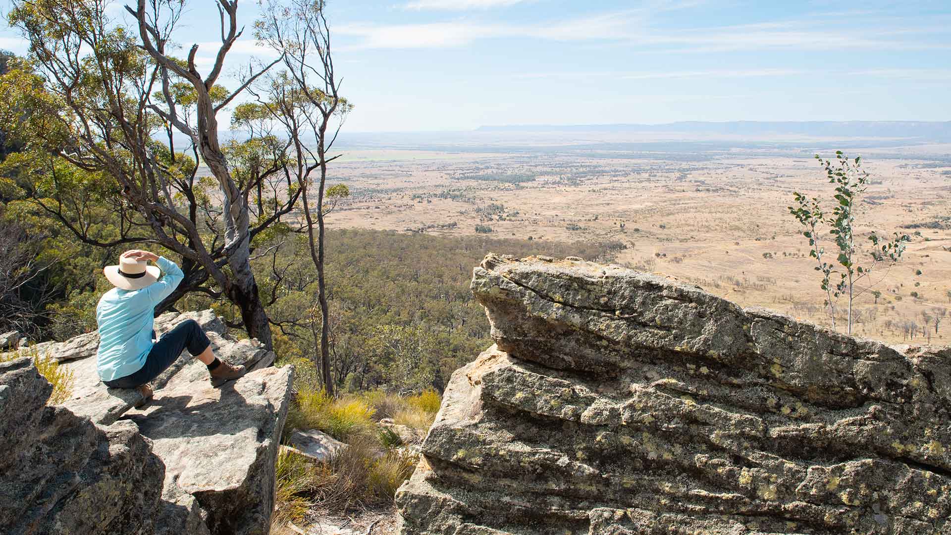 Lost World Carnarvons (Wallaroo)