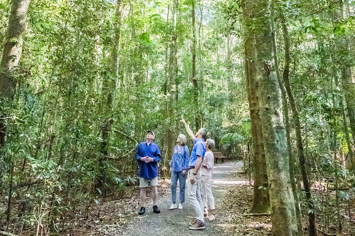 Sunshine Coast Hinterland Full-Day Food Experience | Private Tour Min 4 Adults